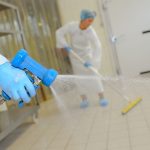 Disinfestazioni Scarafaggi Roma