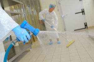 Disinfestazioni Scarafaggi Roma