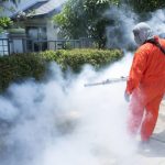 Disinfestazioni Roma per aziende