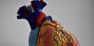 angina pectoris