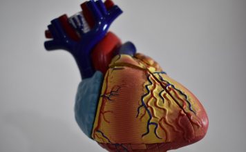 Angina pectoris: cos’è e come si cura angina pectoris