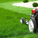 Manutenzione giardini e aree verdi Roma