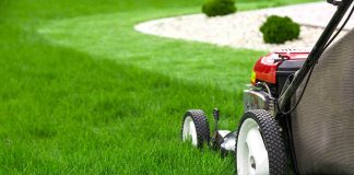 Manutenzione giardini e aree verdi Roma