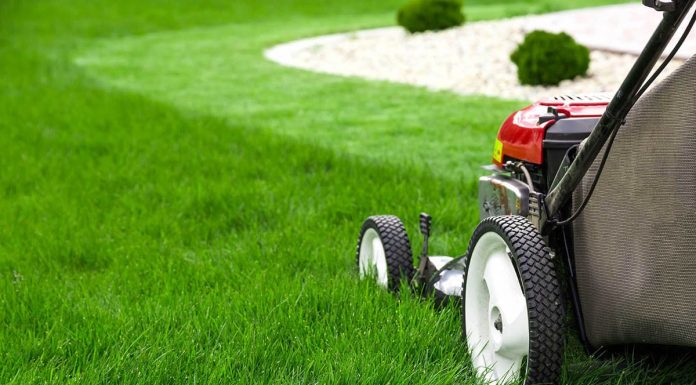 Manutenzione giardini e aree verdi Roma