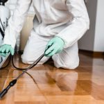 Pronto intervento derattizzazione Roma