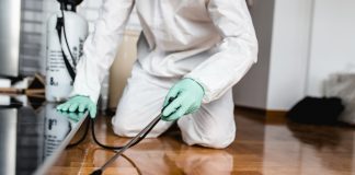 Pronto intervento derattizzazione Roma