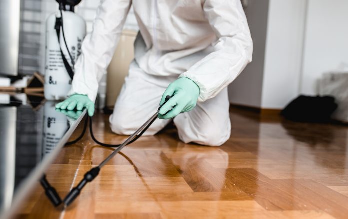 Pronto intervento derattizzazione Roma