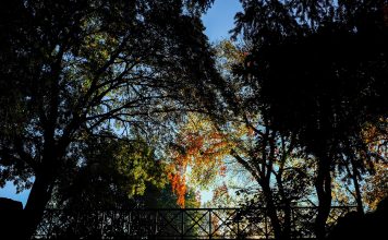 giardini