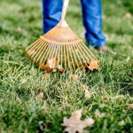 Manutenzione giardini per privati Roma
