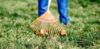 Manutenzione giardini per privati Roma