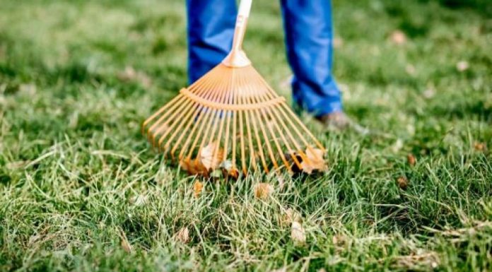 Manutenzione giardini per privati Roma