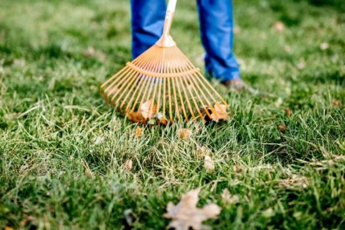 Manutenzione giardini per privati Roma